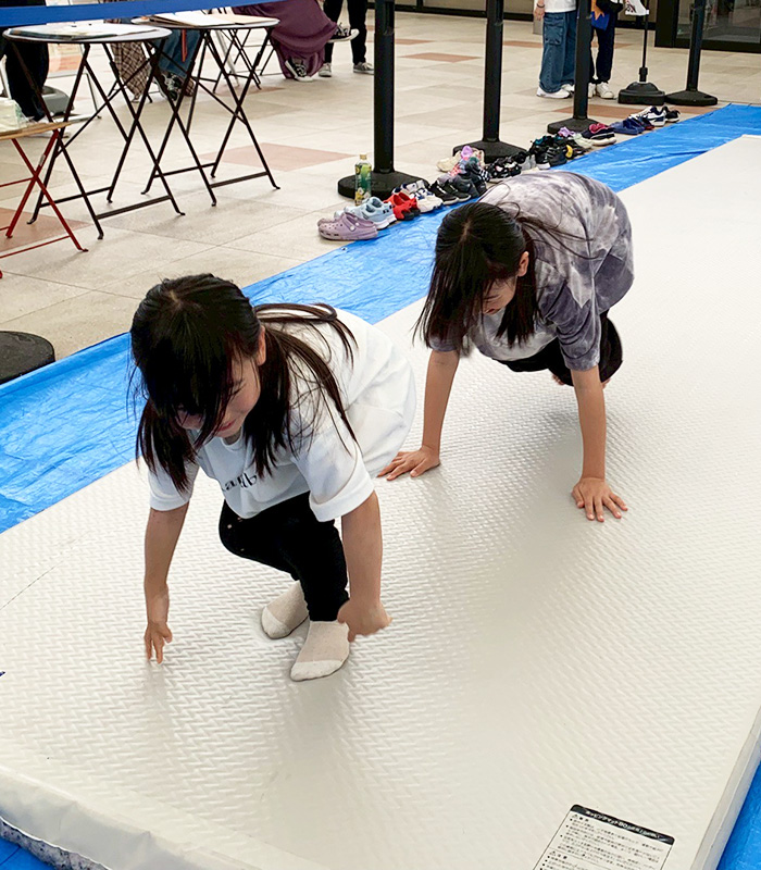 スケジュール